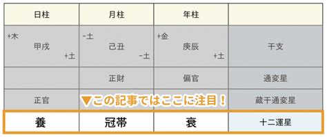 大運 胎|胎が大運や流年に巡る時〜四柱推命運勢の見方